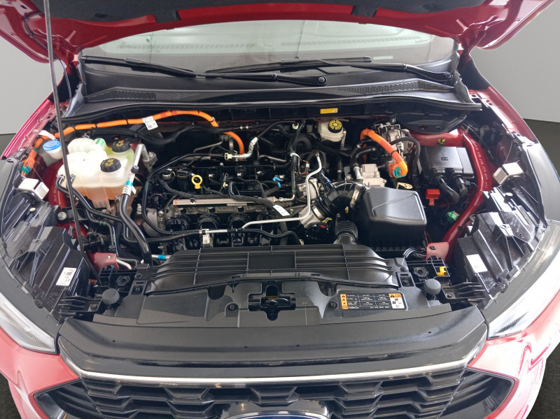 Ford Escape  5 pts. ST Line Elite, HEV, 2.5l, TA, piel, TP, f. niebla, RA-19, 4x4 (cambio de línea) 2023
